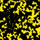 Design Your Own Marble Blanks