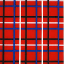 Mouthguard blanks in checked patterns